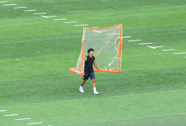 的敏锐门前